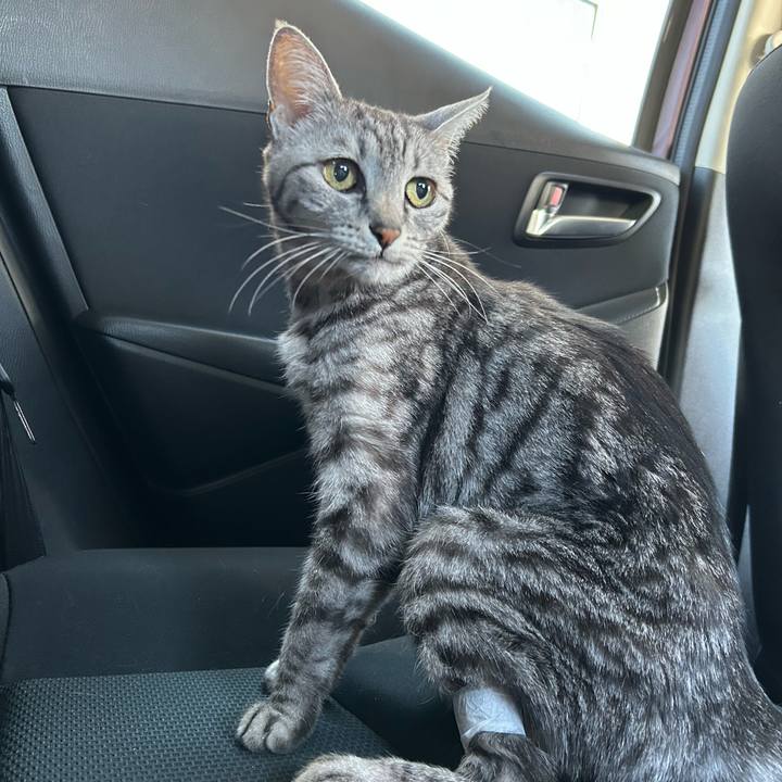 Ca1cc95c 4e9f 4d29 8dcb 287c5e3c786c 1740616528021