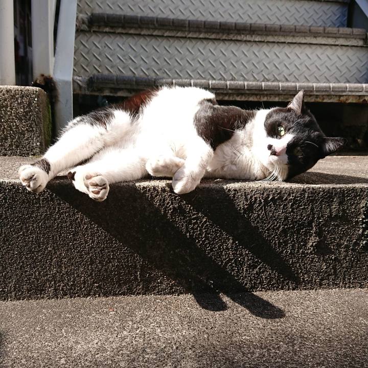 Ca1ce644 c387 4370 85bd 529e7e790705 1549077927092