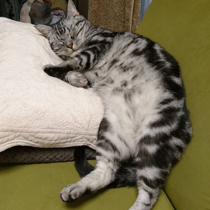 Ca1cfed9 f2a3 4c93 bf2a d44afa516bf8 1519285331389