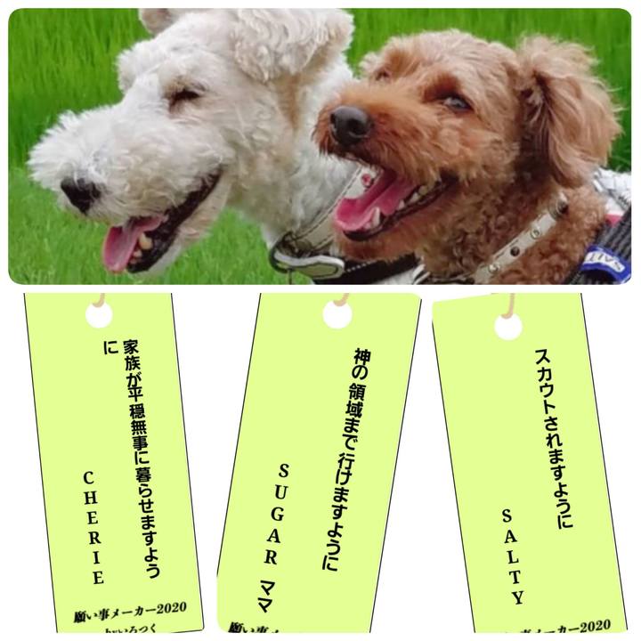 Ca1d0e7f 3ad6 4cc1 89c0 5c0b9e2efc8a 1594168226982