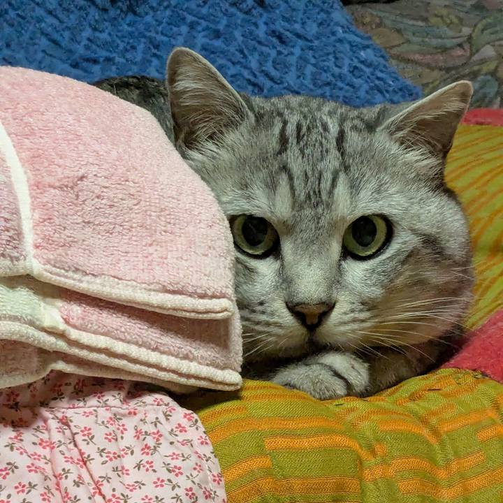 Ca1d820a 67ec 4ff5 abc0 91cb9cd4d4ba 1744109582684