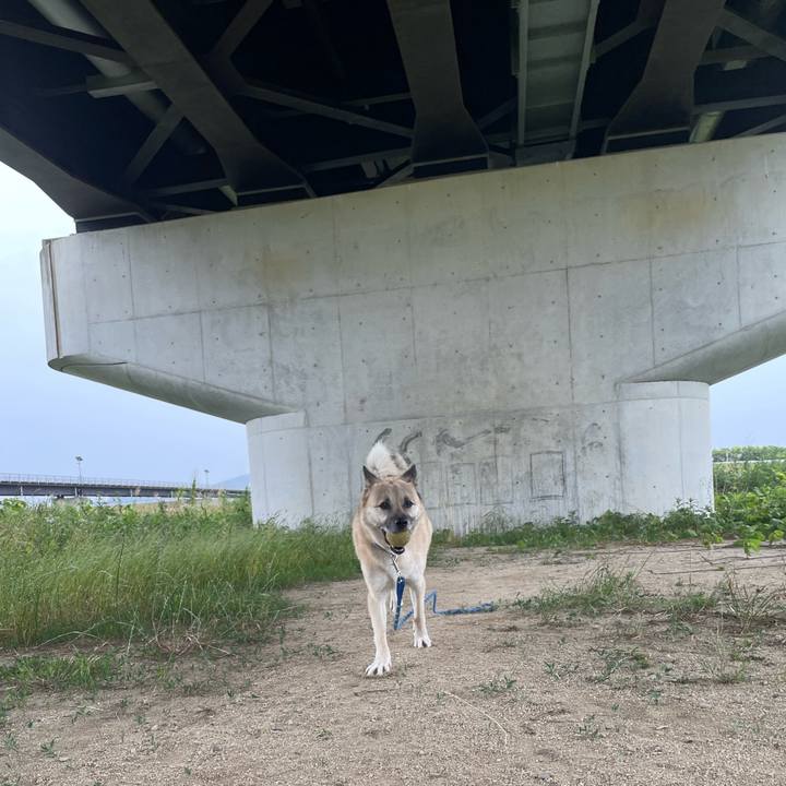 Ca1dfd45 5464 4b3c a68c e92182e0e1c9 1654416894568