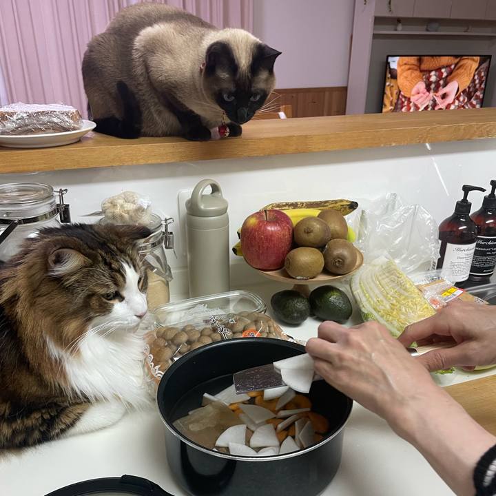 Ca1e06b7 b278 42a9 8f8a 00809f6b44c3 1767909211286