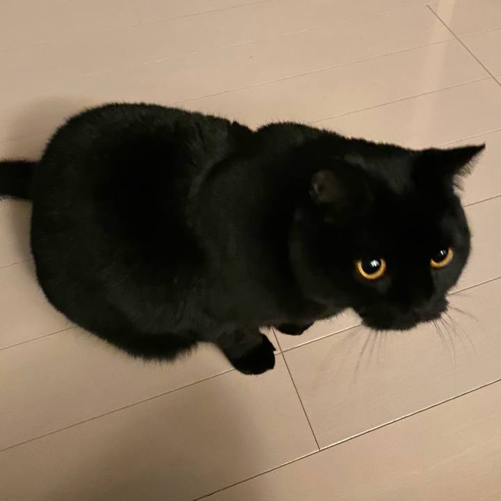 Ca1e15f5 646b 44ff 9926 cc16a740185f 1643460447660