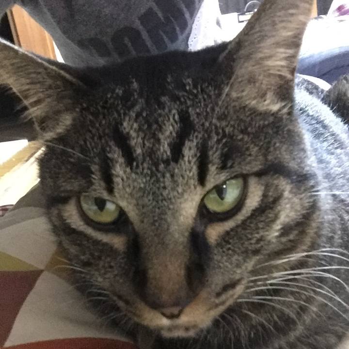 Ca1e1f17 d5a0 4260 8f58 d998cb279afd 1523531609224