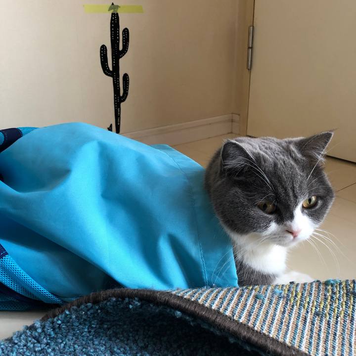 Ca1e7a86 a1de 4498 8df3 e44b61b603c0 1552308136468