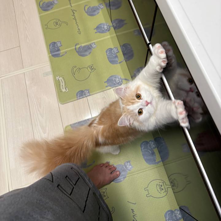 Ca1e84e8 d2a0 44e7 ae09 5f628df5445a 1751715298561