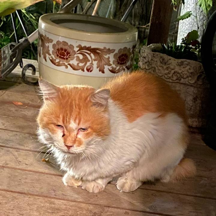 Ca1f1627 553e 40b4 8f2f ff6bf88788d8 1727697960235