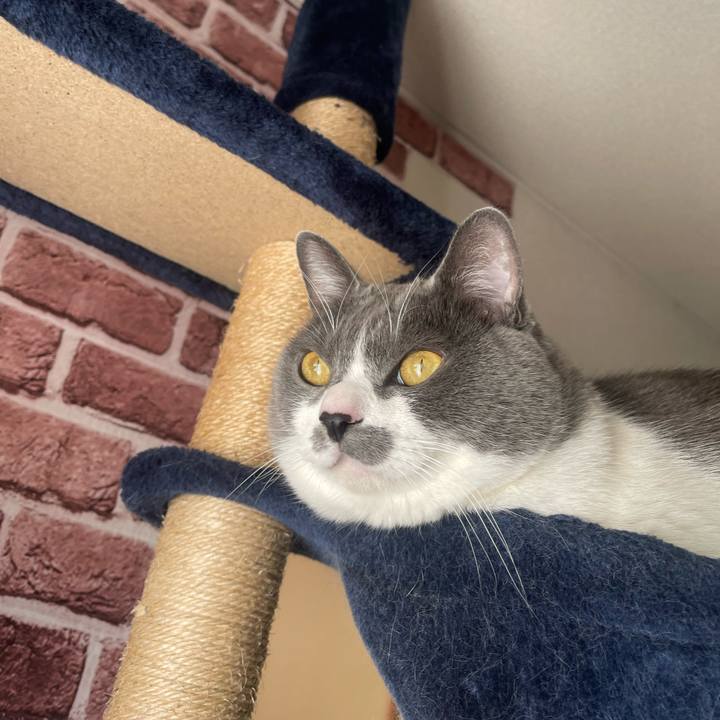 Ca1f30d6 59f3 481d 9fc7 af4487dfe8e1 1703203792833