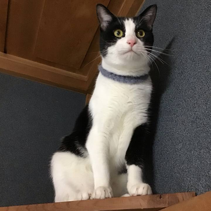 Ca1f6057 d020 49c3 a309 c4c1fb7bc721 1669107662484