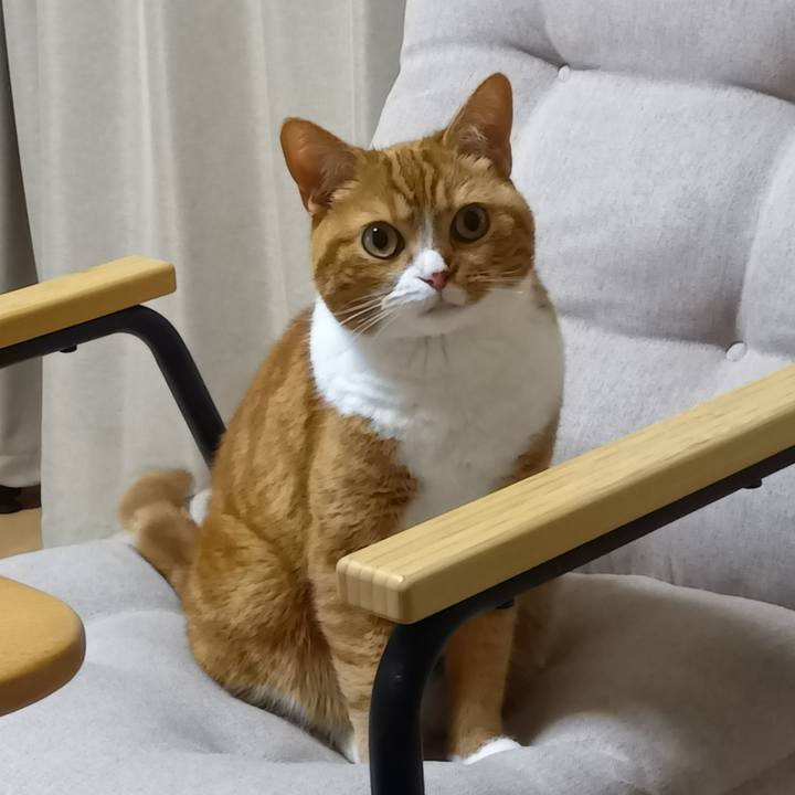 Ca1f6a82 e149 46ae beeb 8fbc8748dc9d 1719922758880