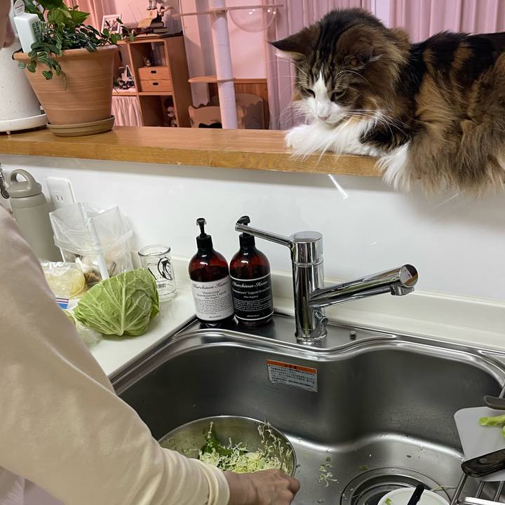 Ca1f8684 3f03 4035 9975 37f6e6c3c107 1738615617569