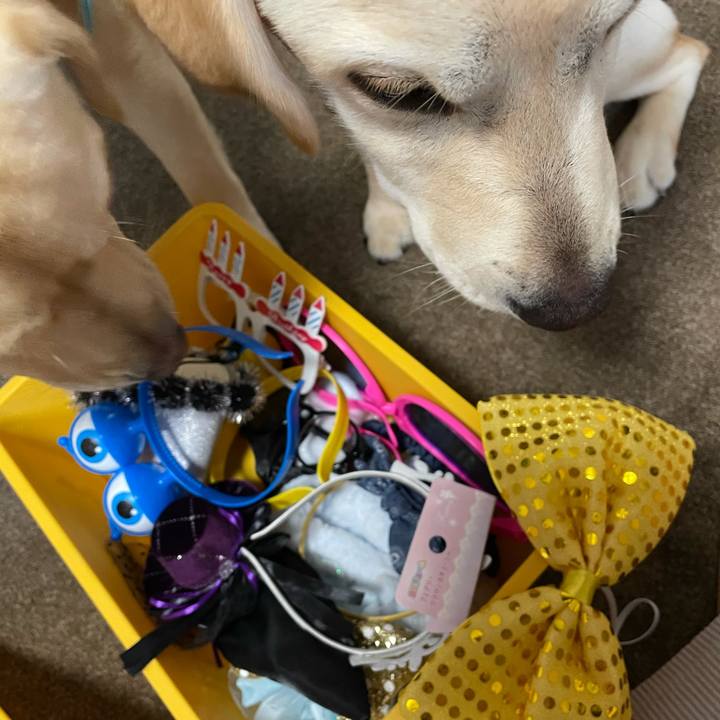 Ca2005a5 55f3 4dca 93c1 b2e74771f53b 1621847245943