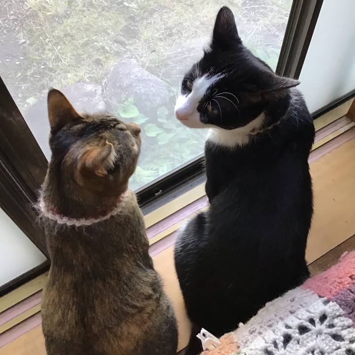 Ca201f8a 9095 401f ad6d 784b6d3e01b7 1655021688323