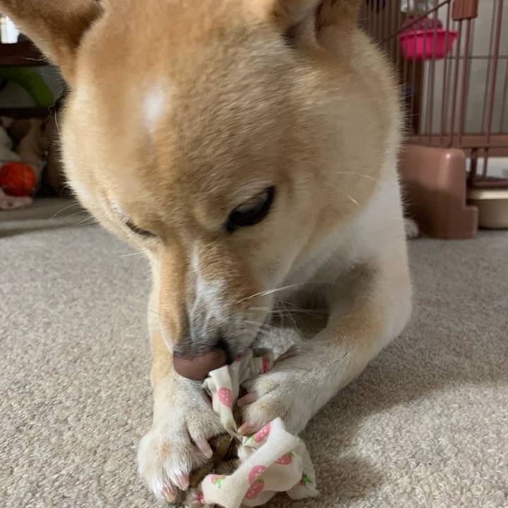 Ca20ad32 1b52 4477 b798 29e3362fa92d 1630623742241