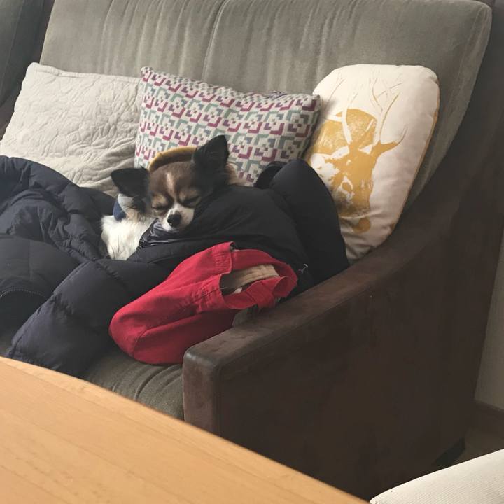 Ca20af78 516d 4d81 921c 9a14c163556d 1513919806263