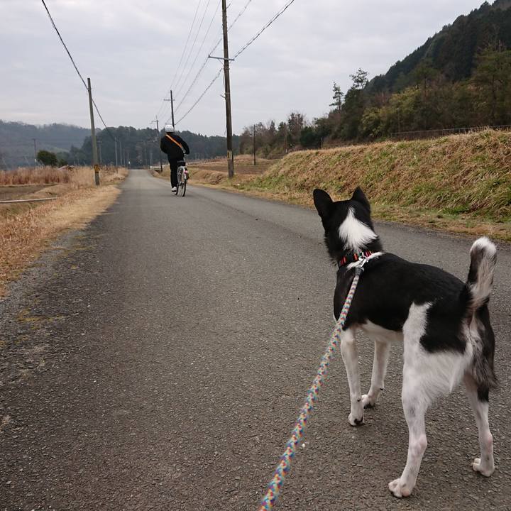 Ca20dcbc 92a6 41b8 9d23 af7ae28c634c 1551882068805