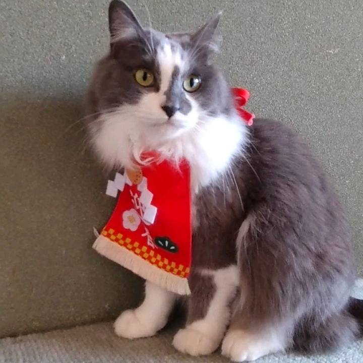 Ca20f68c b0fb 49a4 a4cc ac406448bb90 1672530869073