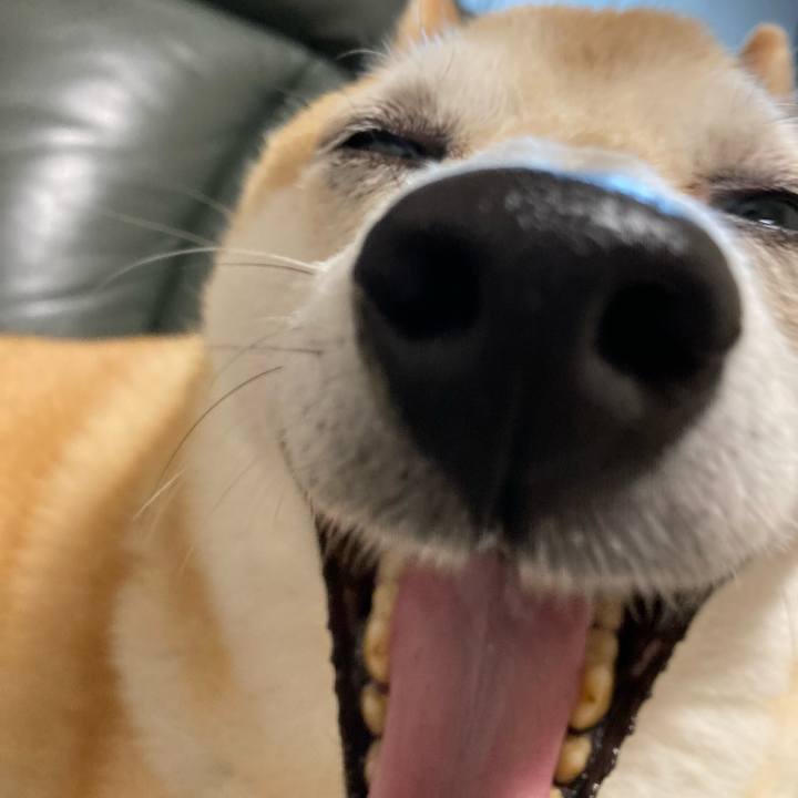 Ca210f07 a5c8 4d8f 941b 2663aa65b0f1 1633169583674