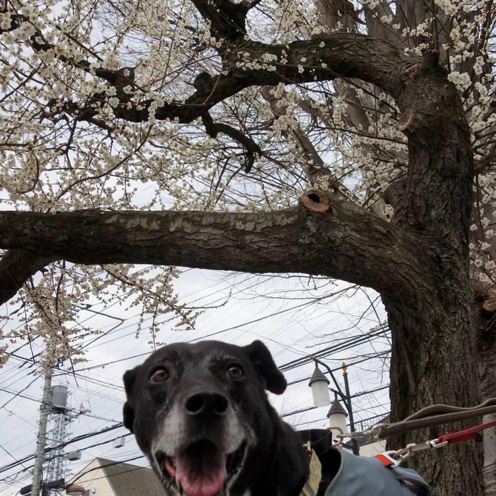 Ca211f1a 9819 4d14 9075 f8905f9aed54 1740874404003