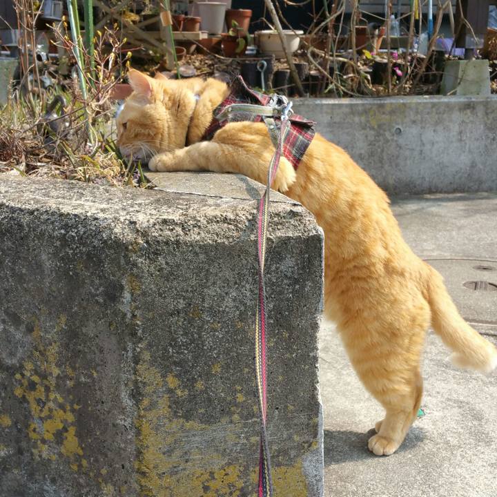 Ca212288 d76c 423e 9210 a8fce3f4ed76 1551756412969