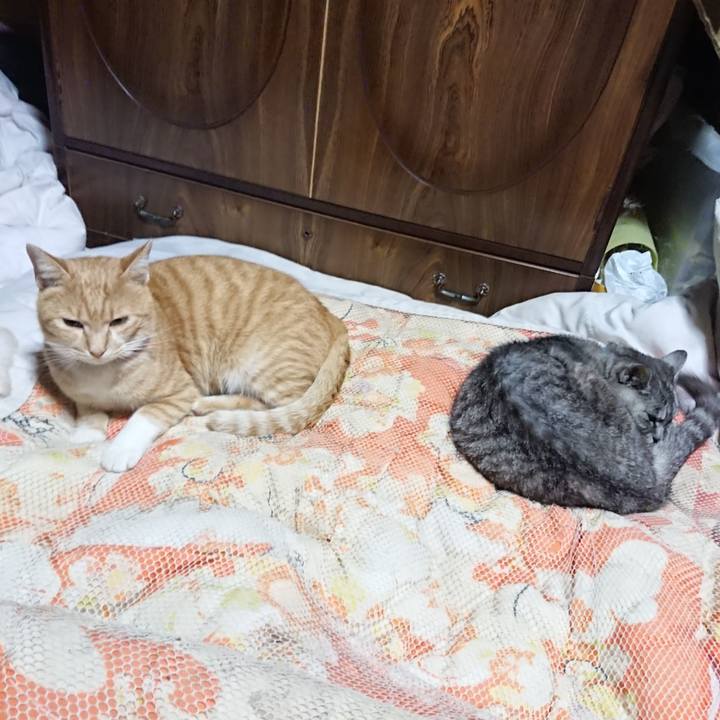 Ca213956 0055 47a0 ab80 144047d28262 1570019105843