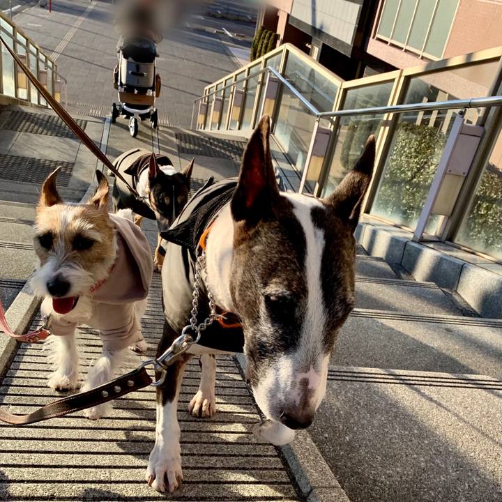 Ca214131 c333 4aab 8d88 4a59640d16f8 1609756385866