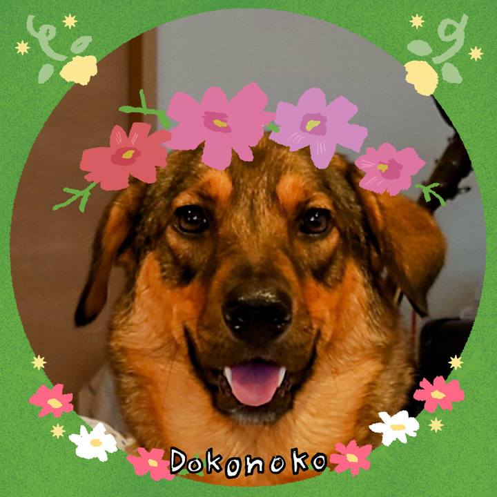 Ca2188ff e093 4f49 b864 6aa4c35da142 1726818382681