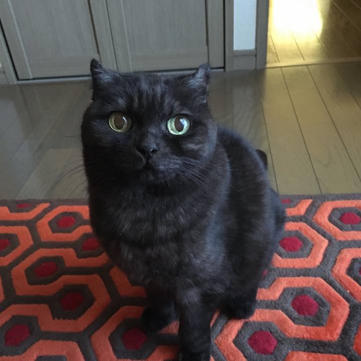 Ca21ce29 5131 4ea1 823b 327df8fc57ab 1548199472685