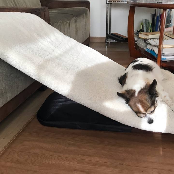 Ca21e615 2607 4d06 a776 a8fb71590652 1701058025095