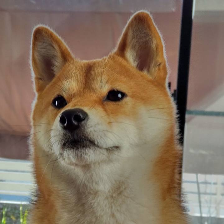 Ca222821 922d 470c 98f5 3f28b30c731f 1643006750594