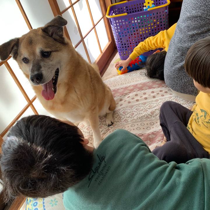 Ca2234b2 0ef7 4306 82f7 8e494717a21d 1640923246877