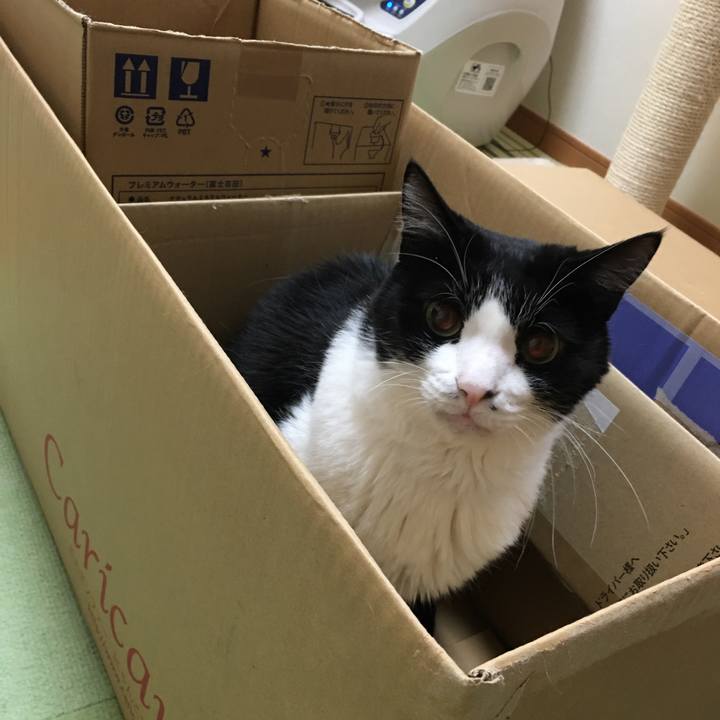 Ca225374 802e 4e1b a7af 79550cb2899e 1589121389432