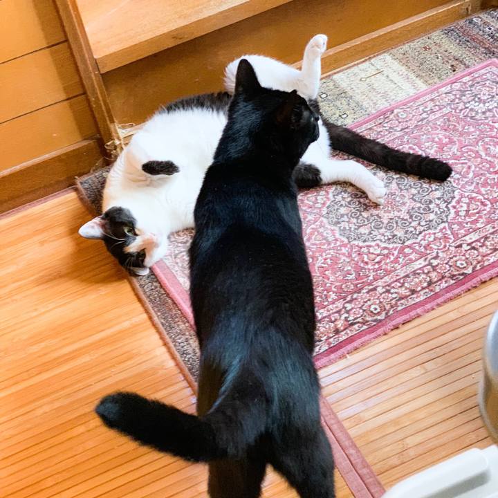 Ca22a3d5 e994 4667 8ed0 99f6f14790c9 1567303089910