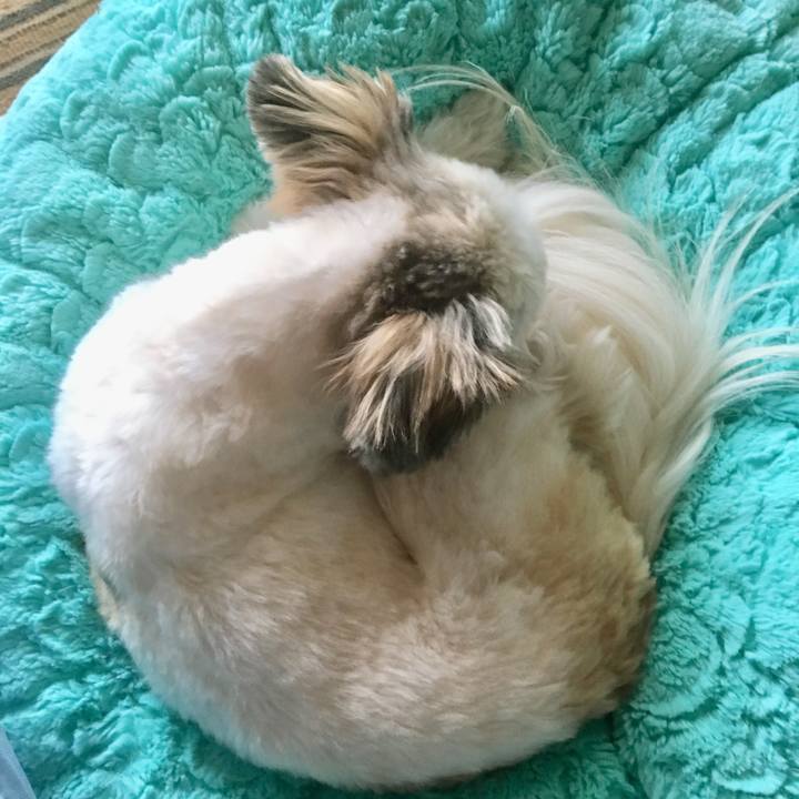 Ca22b535 0d27 4d4b b6fb c4330cb753f2 1511132522874