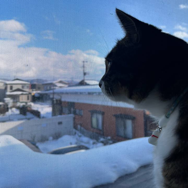 Ca22f58a 47b6 48d5 9c80 e2a1373c3227 1770001124606