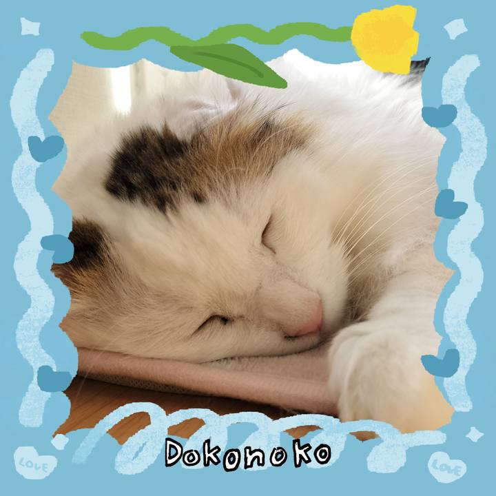 Ca230aa0 4c6f 4d57 a018 7026fe0b4896 1771904435618