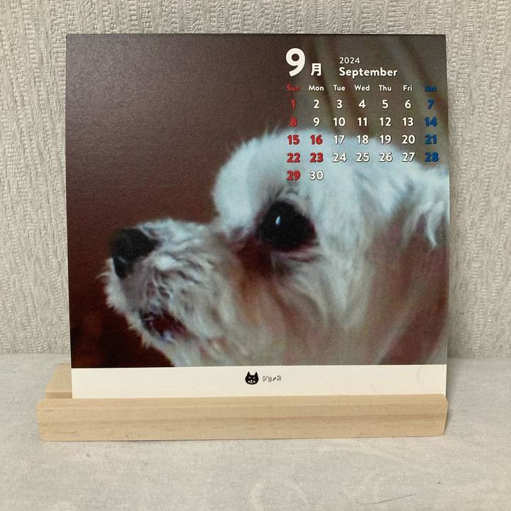 Ca232db4 3e77 4cc1 b734 74bec5b9903c 1725195959051