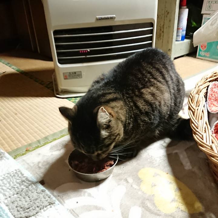 Ca23402a 5844 4f46 836a 1e833b634b6e 1640090931784