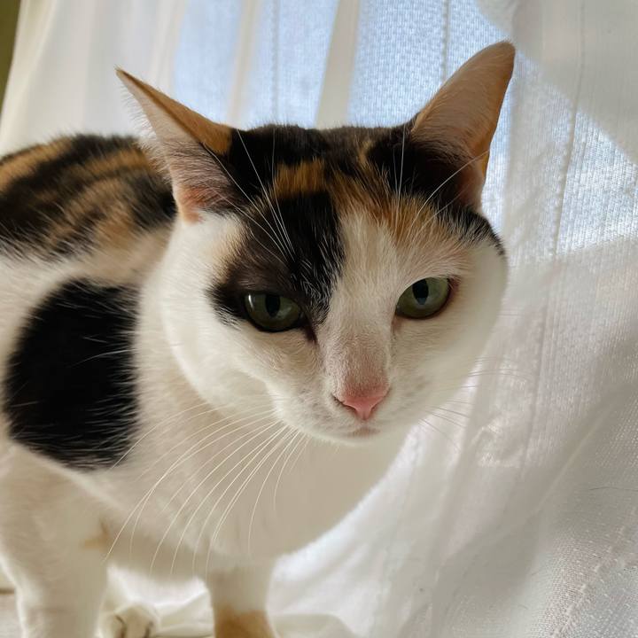 Ca23649e 18a6 44b6 a014 5f561e73976c 1645928221043