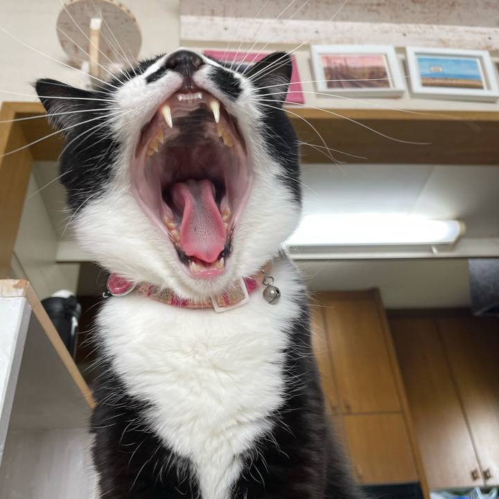 Ca236fb2 0faf 4ecd a00e c658f3c9599a 1681199847765