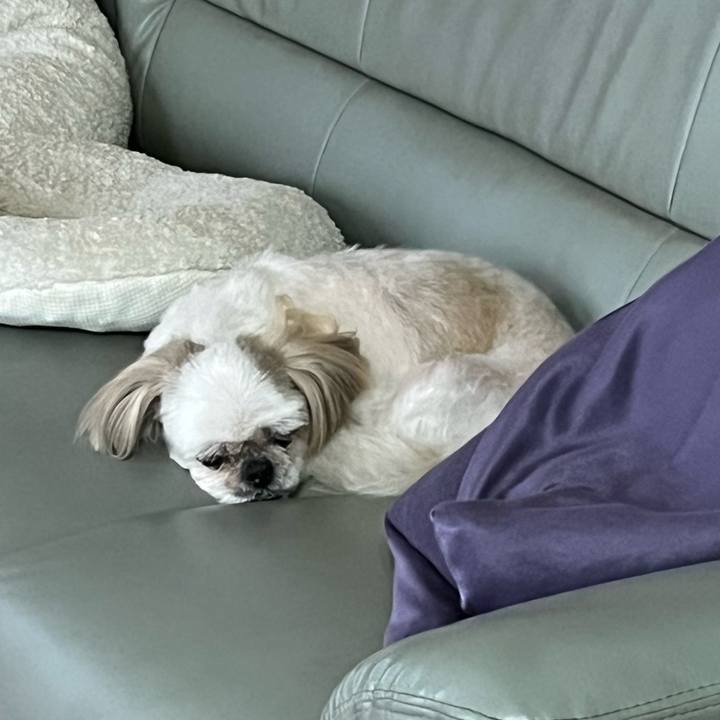 Ca237b2d b5d4 40e4 96c7 0fea2c9f33fc 1757673154286