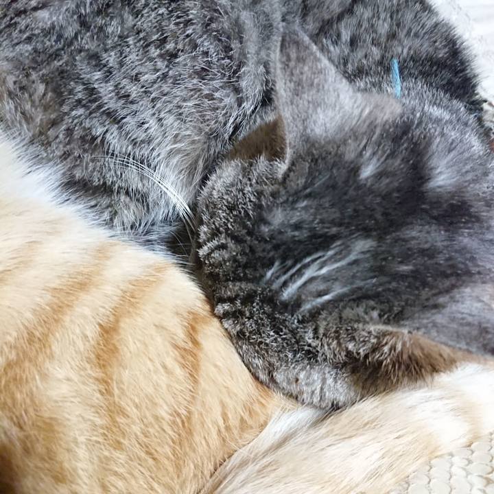 Ca238baf 06a7 47c8 b401 03ed611030ba 1577365859894