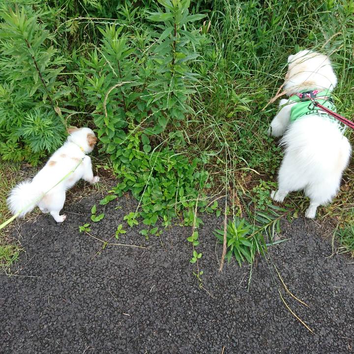 Ca239691 d5f3 4486 98f6 b074383e591e 1529099359335