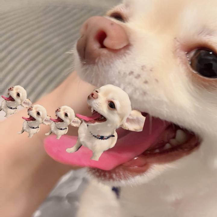 Ca239765 5238 45b9 9f98 6c9bd6ac81df 1721955521184