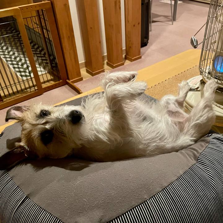 Ca23a932 2738 4108 b88d 4fa3054214cd 1647957394832