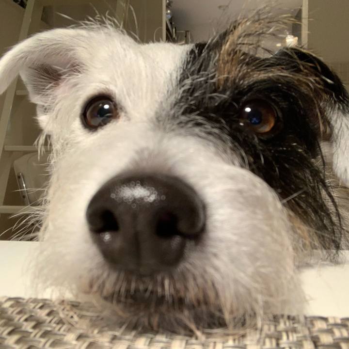 Ca23b317 e190 42f6 97bb 911eb603d1f5 1637662144263