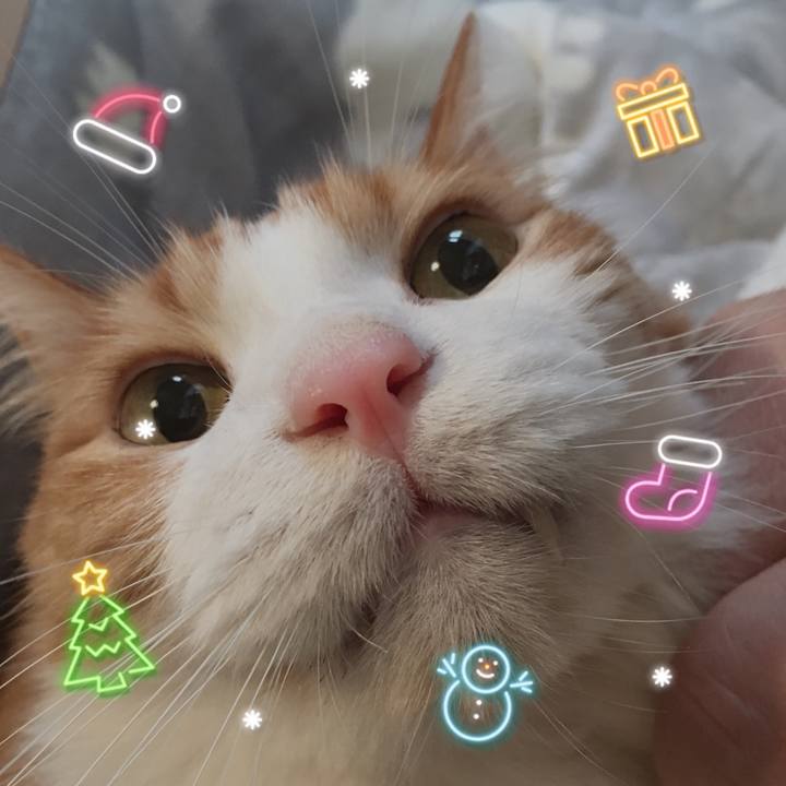 Ca23bab3 15c5 4417 9c18 b2b7ea436025 1577116892442