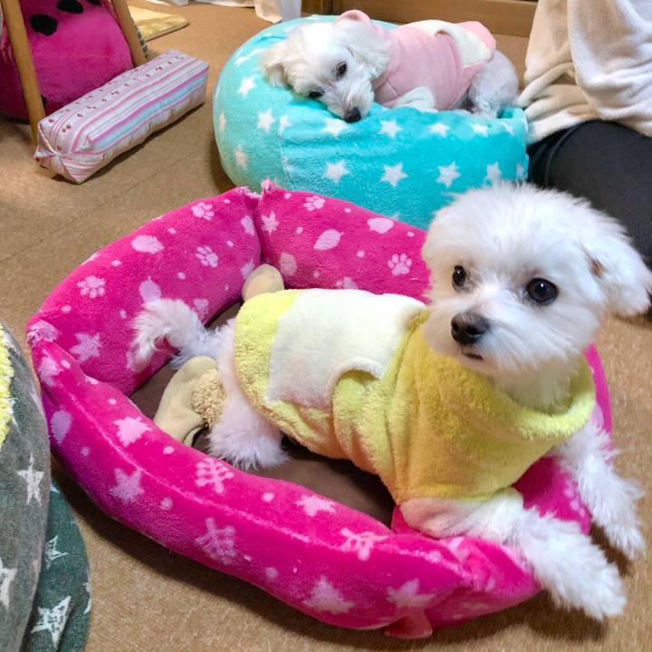 Ca23d751 dc0c 45ac 859b 231bc0c91eea 1546743307688