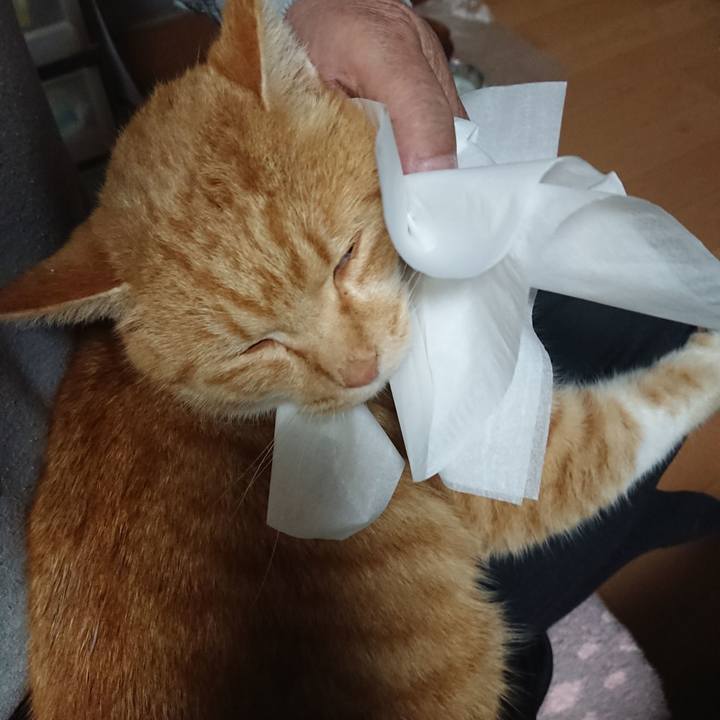 Ca23e8db e4c3 463f 94cc c6aa76a865fb 1607770568542